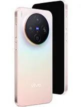 Vivo X300
